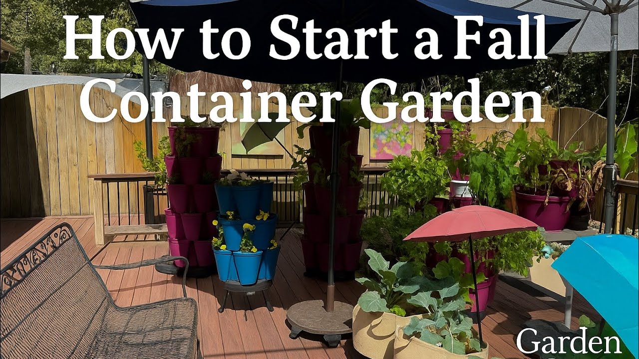 DIY Fall Container Gardening: From Strawberries to Stunning Displays