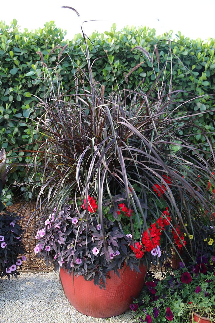 Unlock Your Fall Container Garden: Easy DIY & Watering Secrets